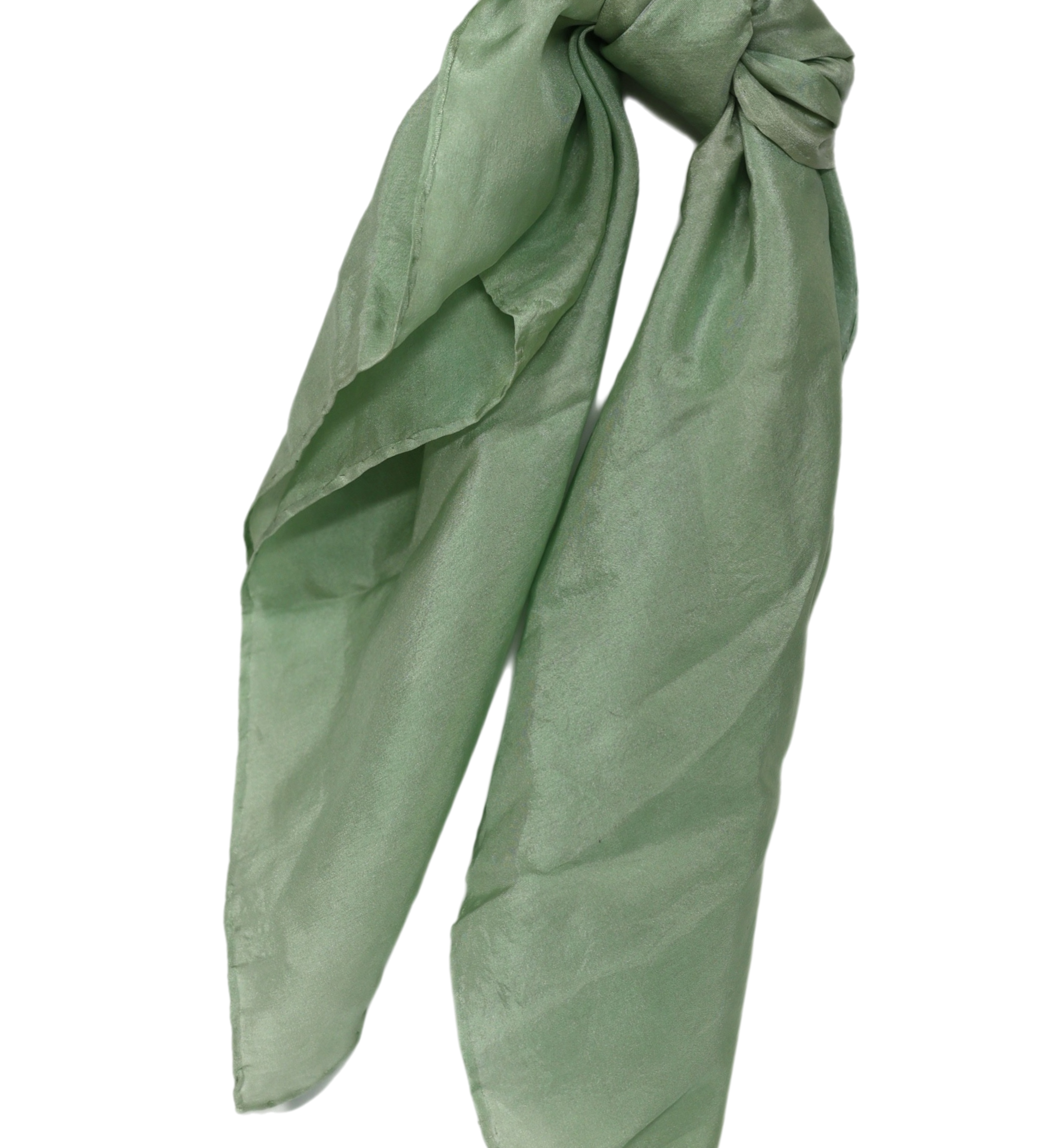 6_63cf8d00-5a55-4308-a6df-