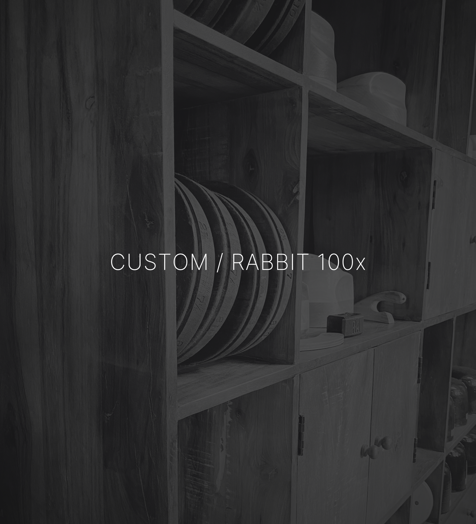 RABBIT 100X DEPOSIT